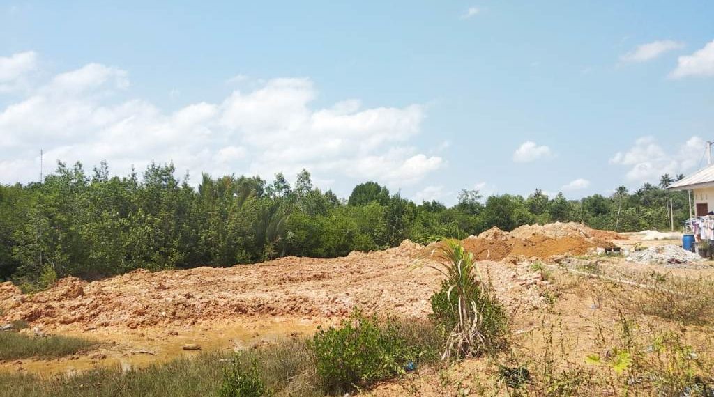 Selamatkan Mangrove, “Pemerintah Tanjungpinang Diminta Tegas dengan UU Konservasi Sumber Daya Alam Hayati dan Ekosistem”