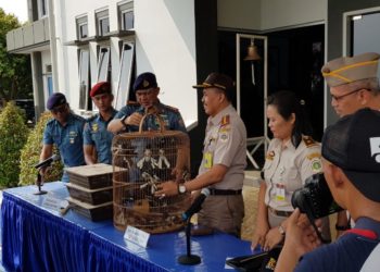 Tim F1QR Lanal Batam Berhasil Gagalkan Penyeludupan Satwa (Burung) dari Malaysia