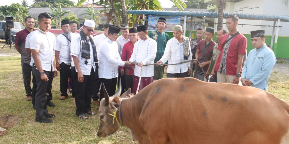 Lantamal IV Sembelih 17 Hewan Qurban Usai Salat Ied