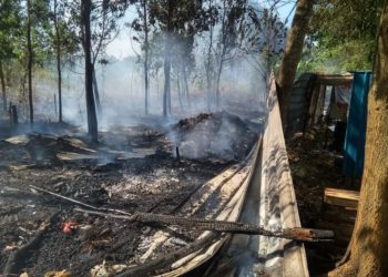 Karhutla Merembet, Kios Buah Kena Imbas