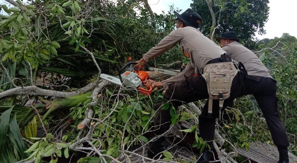 Polres Tanjungpinang Bersihkan Pohon Tumbang yang Timpa Rumah Warga