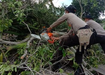 Polres Tanjungpinang Bersihkan Pohon Tumbang yang Timpa Rumah Warga