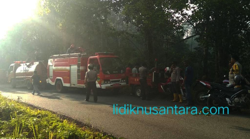 Kebakaran Lahan Kebun, Instansi Terkait Terus Siaga di Lokasi