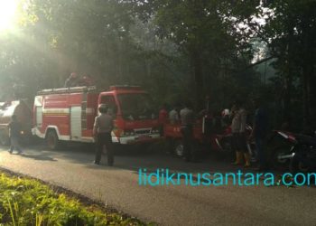 Kebakaran Lahan Kebun, Instansi Terkait Terus Siaga di Lokasi