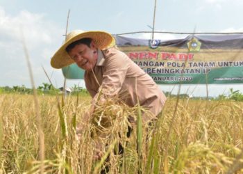 Isdianto Percaya Pertanian Kepri Semakin Berjaya