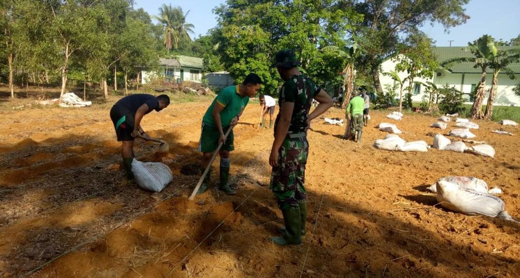 Dukung Program Ketahanan Pangan, Kodim 0315/Bintan Tanam Jagung