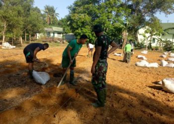 Dukung Program Ketahanan Pangan, Kodim 0315/Bintan Tanam Jagung