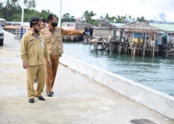Pelabuhan di Tanjung Uban Harus Segera Difungsikan