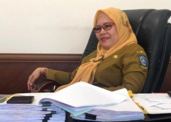 Target Penerimaan Pajak Daerah Kepri Turun 13 Persen