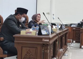 Ketua DPRD Kota Tanjungpinang Hj. Yuniarni Pustoko Weni, Pimpin Langsung RDP Bersama APIP