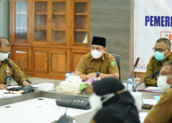 Bupati Lingga Hadiri Rapat Monitoring dan Evaluasi MCP dari KPK