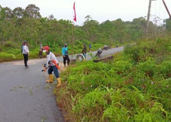 Momen Perayaan Hari Besar Kemerdekaan RI ke-76, Kecamatan Singkep Selatan Gelar Goro