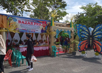 Perayaan Hari Jadi ke-238 Tanjungpinang, Ada Bazar dan Panggung Hiburan Rakyat