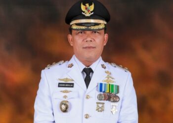 Wawako Tanjungpinang Endang Abdullah, Menghormati Proses TPOL Sepenuhnya pada APH