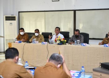 Tiga Tugas Kepri Demi Kembangkan BP Kawasan FTZ BBK