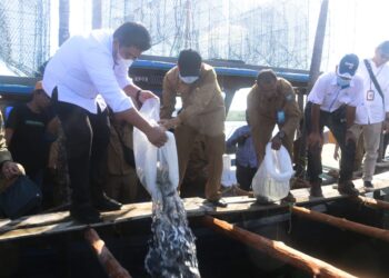 Roby Tabur 4000 Bibit Kerapu dan Beri Bantuan di Desa Numbing 