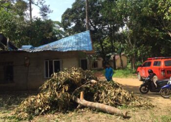 BPBD Bintan: Warga Perlu Waspadai Potensi Angin Kencang