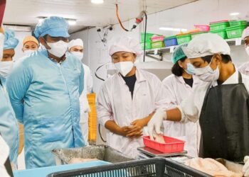 9,5 Ton Komoditas Olahan Ikan Bintan Diekspor ke Australia