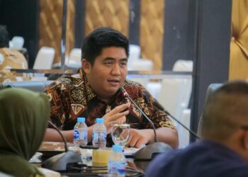 Rakornas Bersama Kemendagri, Roby Ingin PT BIS dan BPR Bintan Tingkatkan Sektor PAD