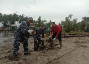 Lanal DBS Gelar Karya Bakti, Bersihkan Pesisir Pantai Sekop Laut