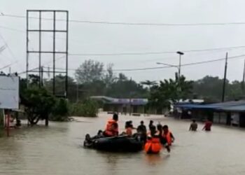 Curah Hujan Tinggi, Banjir Bandang dan Pohon Tumbang