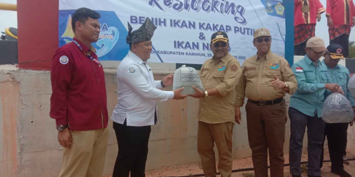 KKP Menstok Ulang Benih Kakap Putih dan Ikan Badut di Peraiaran Jembatan Sanur Karimun