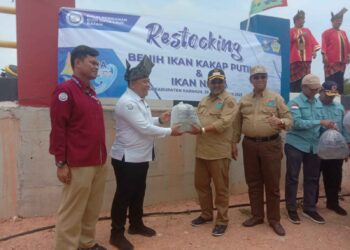 KKP Menstok Ulang Benih Kakap Putih dan Ikan Badut di Peraiaran Jembatan Sanur Karimun