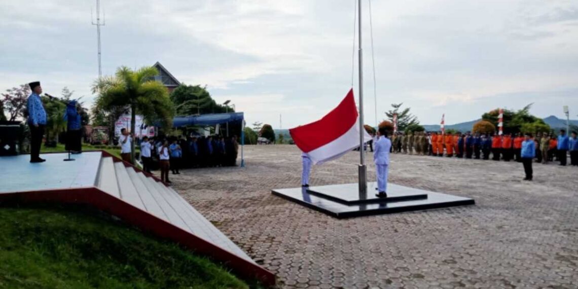 Wan Siswandi Pimpin Upacara Hari Pahlawan ke-78