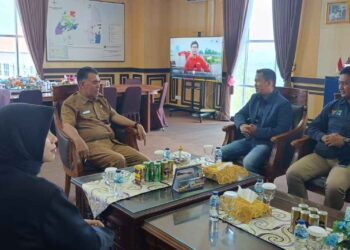 Demi Tingkatkan Pelayanan Listrik Masyarakat, Kepala PLN Natuna Lobertus Kunjungi Bupati