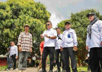 2 Hari Jelang Pilkada: Pj. Wako Andri Ajak Warga Memilih untuk Masa Depan Tanjungpinang