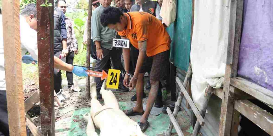 Polres Karimun Gelar Rekonstruksi Kasus Pembunuhan Remaja, Tersangka Peragakan Aksi Sadis