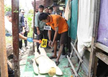 Polres Karimun Gelar Rekonstruksi Kasus Pembunuhan Remaja, Tersangka Peragakan Aksi Sadis