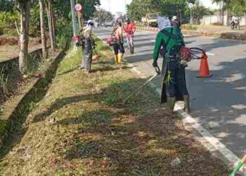 Warga Rasakan Dampak Positif Program “Tanjungpinang Berbenah”