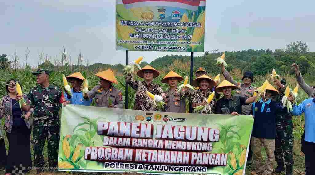 Panen Jagung di Tanjungpinang Timur Tunjukkan Sinergi Polri dan Warga Dukung Ketahanan Pangan