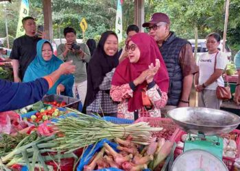 Harga Sembako Lebih Murah, Warga Serbu Bazar Pangan Murah di Tanjungpinang