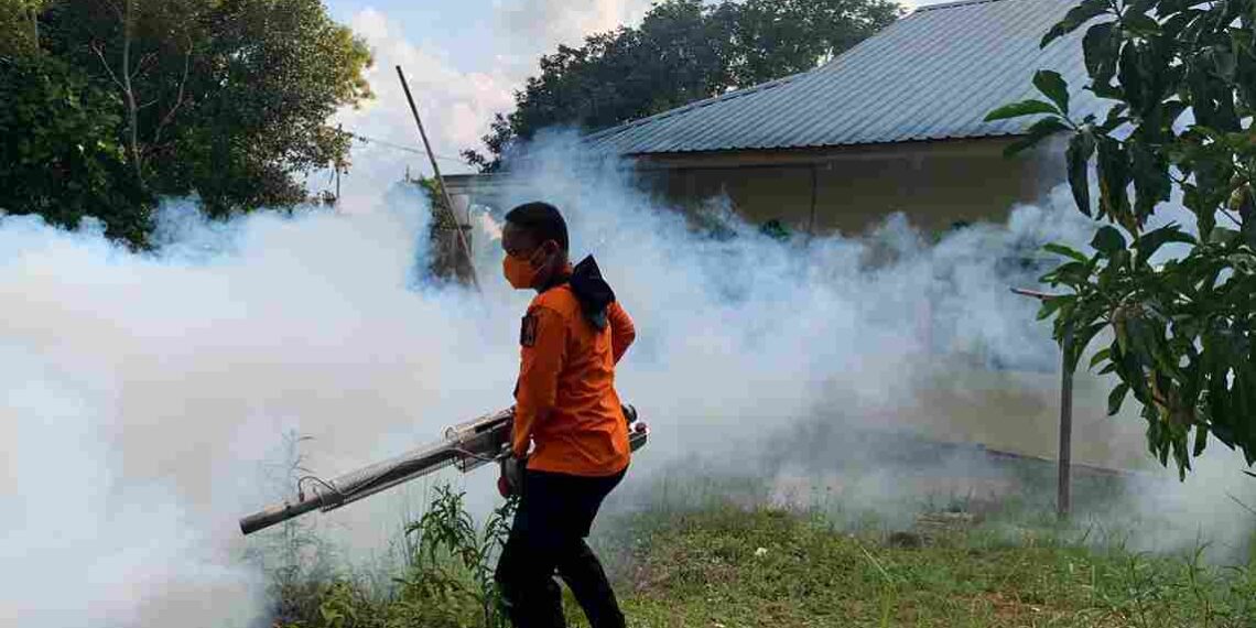 Kasus DBD di Tanjungpinang Meningkat, Fogging dan Abatisasi Digencarkan