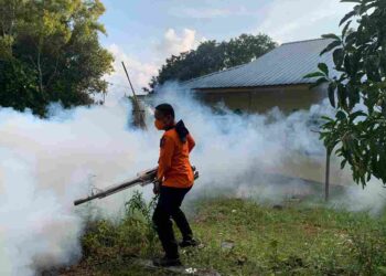 Kasus DBD di Tanjungpinang Meningkat, Fogging dan Abatisasi Digencarkan