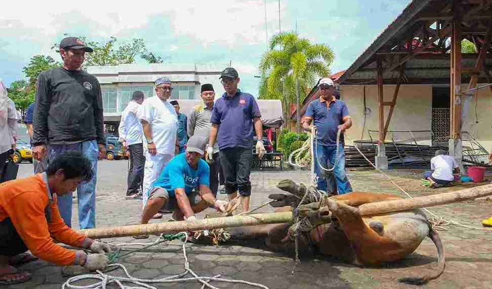 Dukung Kepedulian Sosial, Wali Kota Hadiri Penyembelihan Hewan Kurban di Polresta Tanjungpinang