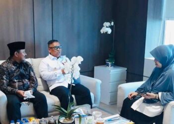 Wagub Kepri Audiensi ke Kemenkeu Bahas FTZ Bintan, Karimun, dan Tanjungpinang