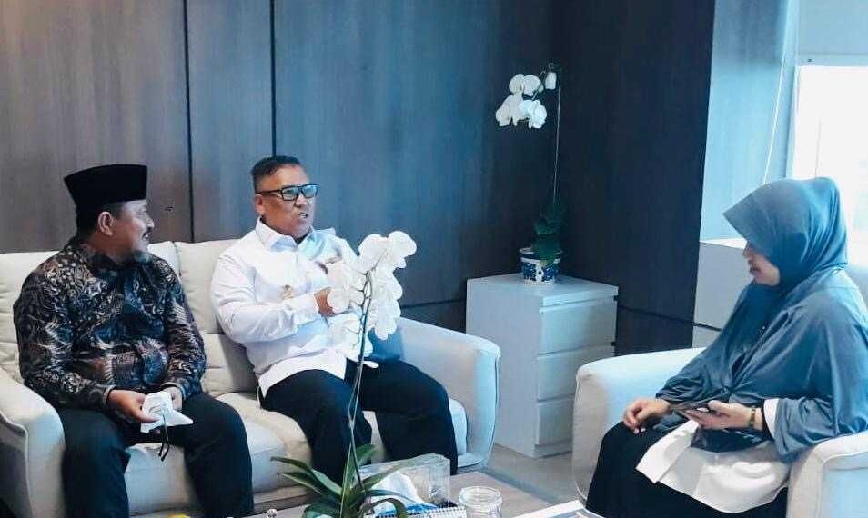 Wagub Kepri Audiensi ke Kemenkeu Bahas FTZ Bintan, Karimun, dan Tanjungpinang