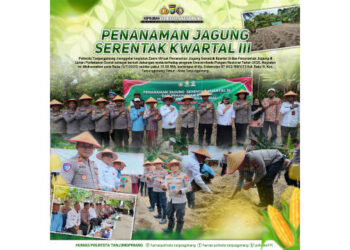 Polresta Tanjungpinang Tanam Jagung Serentak Kuartal III