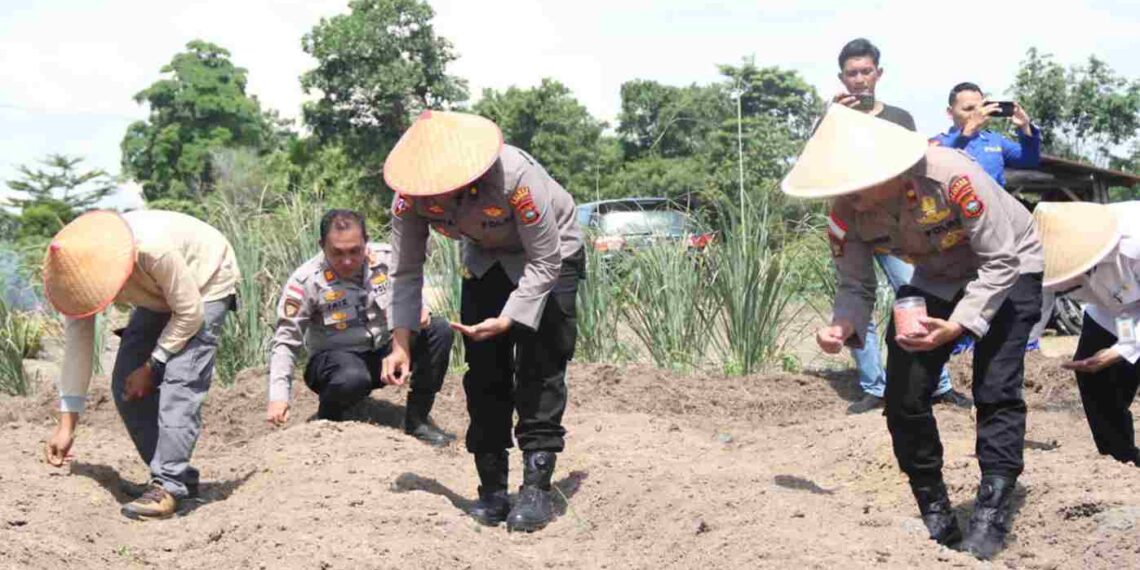 Polres Karimun Dukung Swasembada Pangan Lewat Penanaman Jagung Serentak Nasional