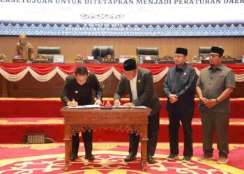 Kepri Tetapkan Perda Insentif Investasi, Dorong Iklim Usaha yang Lebih Kompetitif