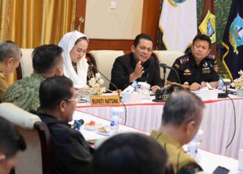 Natuna Disiapkan Jadi Hub Ekspor-Impor di Perbatasan