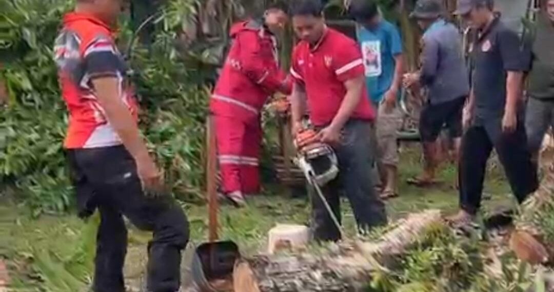 Cuaca Ekstrem Melanda Tanjungpinang, Satu Rumah Tertimpa Pohon