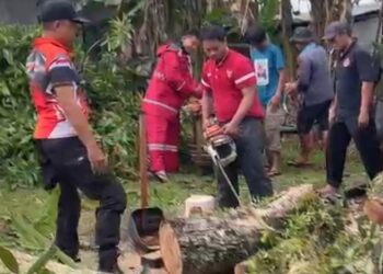 Cuaca Ekstrem Melanda Tanjungpinang, Satu Rumah Tertimpa Pohon