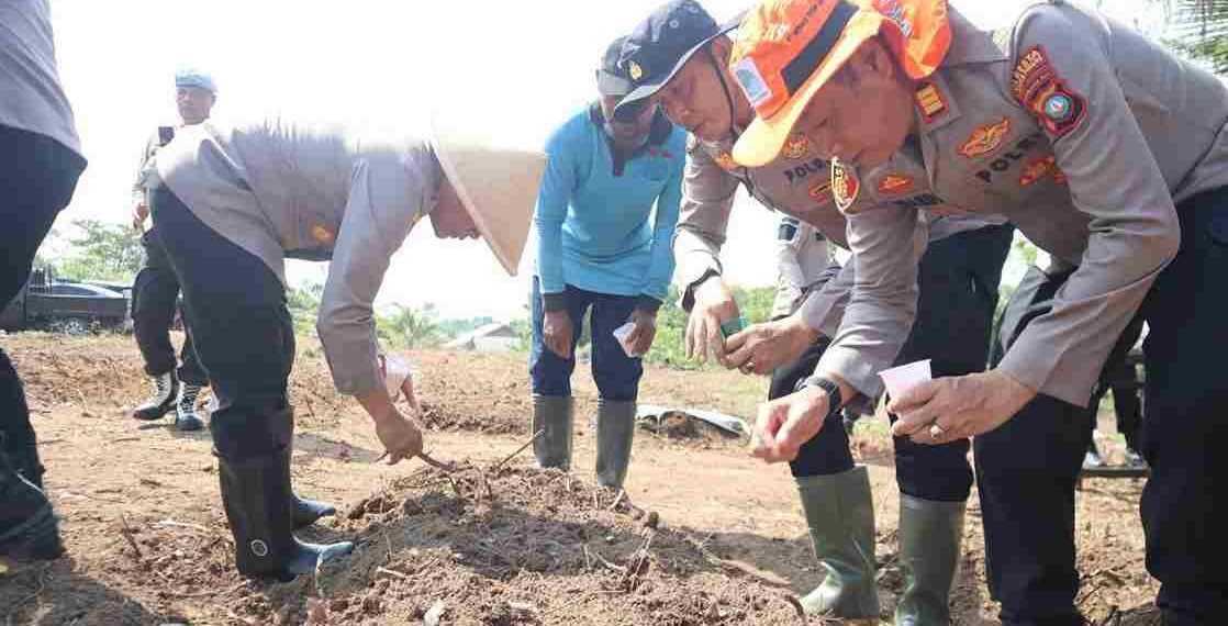 Polresta Tanjungpinang Tanam Jagung di Dompak, Dukung Ketahanan Pangan Nasional
