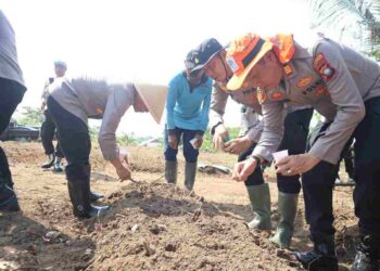Polresta Tanjungpinang Tanam Jagung di Dompak, Dukung Ketahanan Pangan Nasional