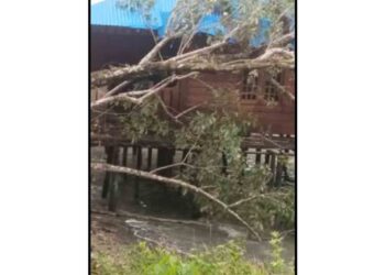 Hujan Deras dan Angin Kencang, Rumah di Desa Sekanah Lingga Tertimpa Pohon