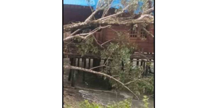 Hujan Deras dan Angin Kencang, Rumah di Desa Sekanah Lingga Tertimpa Pohon